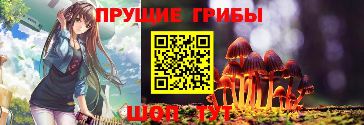 Усть-Илимск  Псилоцибиновые грибы ЛСД  Вход с VPN 